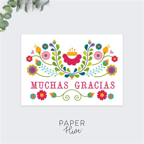 Muchas Gracias Thank You Card Set Greeting Card Thank You - Etsy