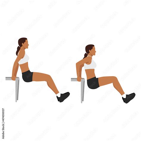 Woman Doing Bench Tricep Dips Exercise Flat Vector Illustration