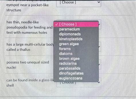 Solved Match The Description With The Organism Points Chegg