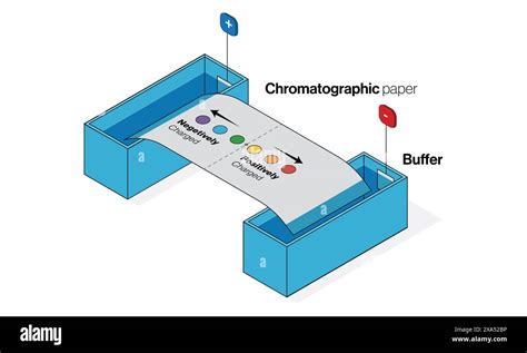 Paper chromatography process hi-res stock photography and images - Alamy