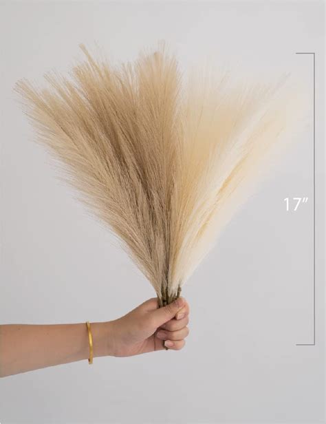 Buy Chagoart Pampas Grass Decor Tall Faux Pampas Grass Small Stems