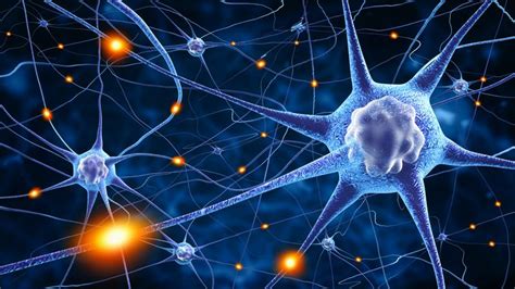 Malattie Neurodegenerative Trovato Un Enzima Chiave Medimagazine