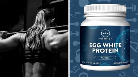 Best Egg Protein Powders Eggscellent Protein Source