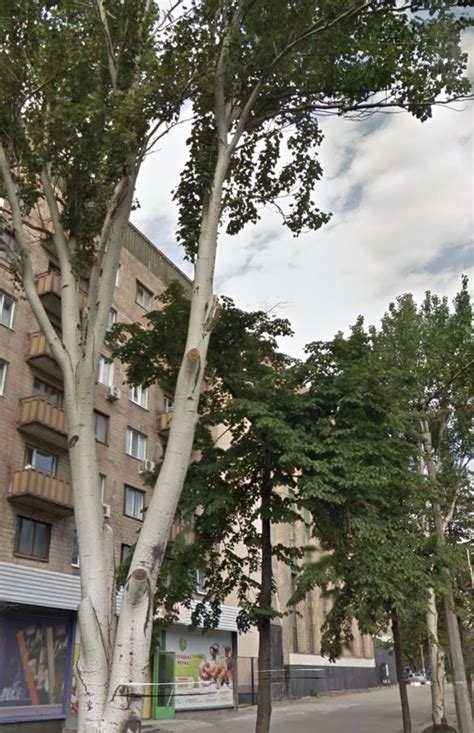 Кімната у гуртожитку проспект Соборний 133: 7 500 $ - Продажа комнат ...