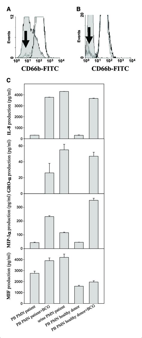 BCG Activated Peripheral Blood PMN And Urine PMN Actively Secrete