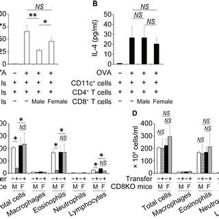 Sex Differences In Cytokine Production In Lung Male And Female WT Mice