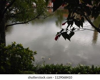 Natural Wonders Merida Venezuela Stock Photo 1129068410 | Shutterstock