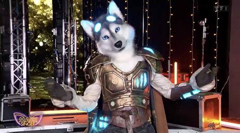 Mask Singer qui est sous le Husky Les indices qui mènent un Vincent