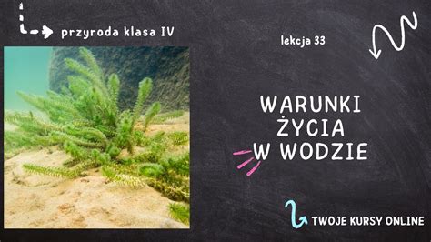 Przyroda klasa 4 Lekcja 33 Warunki życia w wodzie YouTube