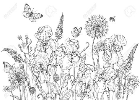 Wildflower Meadow Coloring Page Coloring Pages