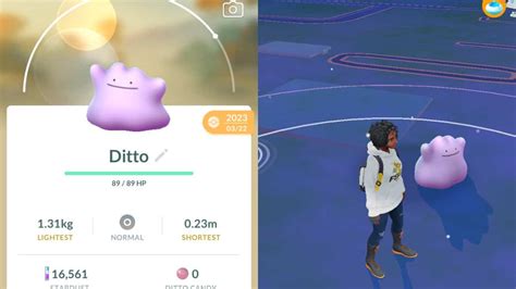 Pokemon Go Ditto Disguises And How To Catch Them