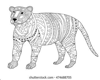 Tiger Coloring Book Adults Vector Illustration Stock Vector (Royalty ...