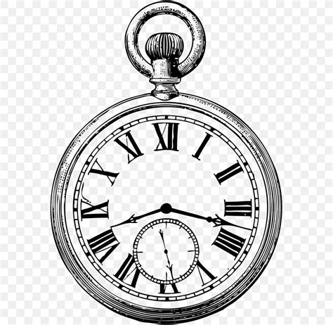 Pocket Watch Drawing Vector Graphics PNG 571x800px Pocket Watch