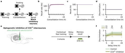 Inhibitory Activity During Recall Is Critical For Memory Selectivity