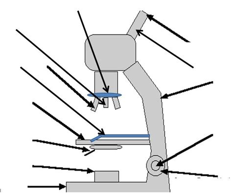 Microscope Parts Diagram Quizlet