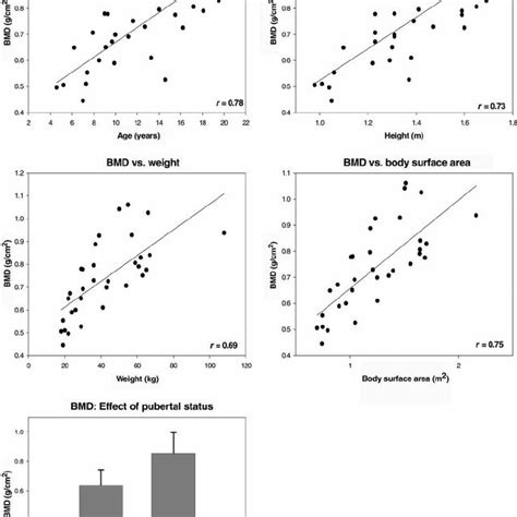 The Relationship Between Bone Mineral Density Bmd And Anthropometric