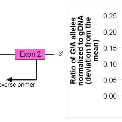 Allelic expression imbalance quantified by next-generation sequencing ...