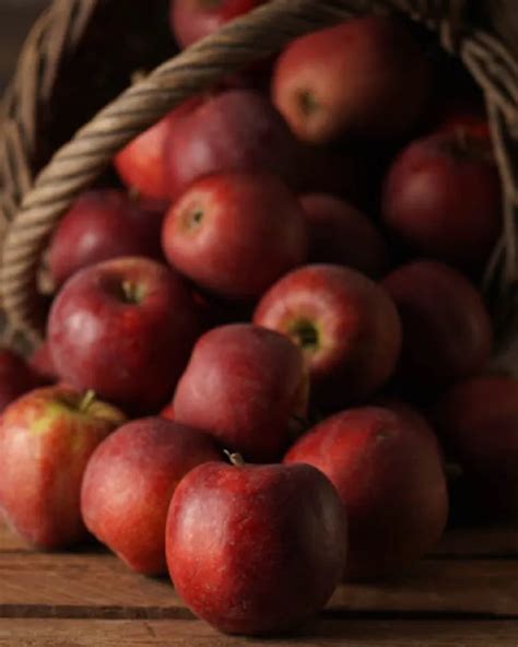 Demeter Organic Red Prince Apples From Bio Obsthof Lefers Germany