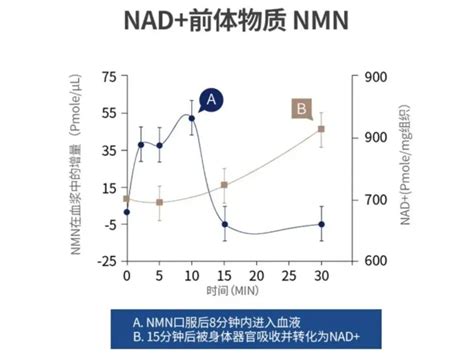 什么是nmn 哔哩哔哩