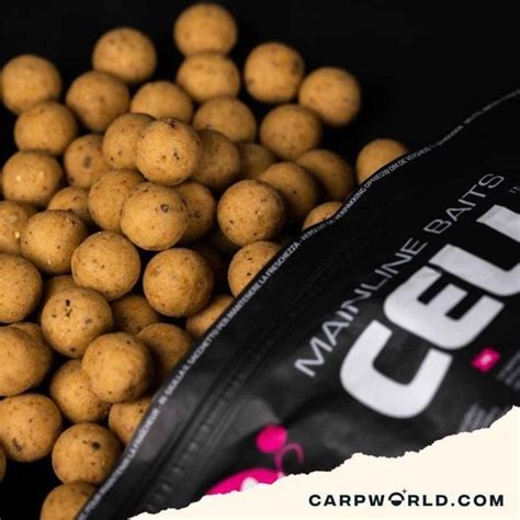 Mainline Shelf Life Boilies Essential Cell Kg Carpworld