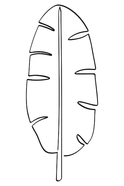 Folha de bananeira em esboço simples vetor arte de linha única ou