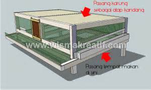 Cara Membuat Kandang Burung Puyuh