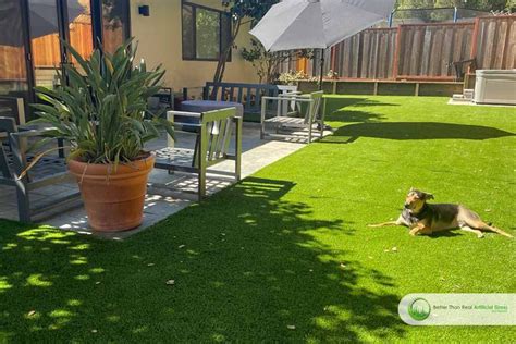 DIY artificial grass garden installation in California