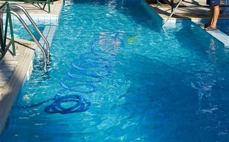 Heres How To Quickly Get Rid Of Pool Algae Now