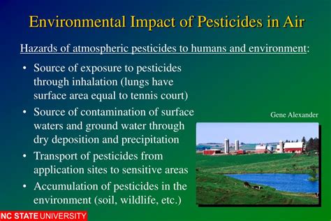 Ppt Environmental Effects Of Pesticides Powerpoint Presentation Free