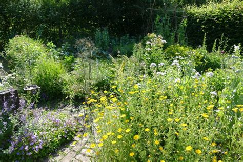 Heute In Meinem Biogarten Gem Se Stauden Und Wildstauden Ein