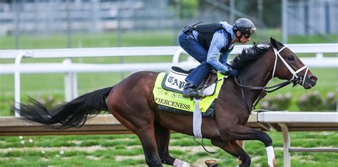 What Time is the Preakness Stakes Today? Post Time, TV Channel, and ...