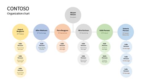 Download Divisional Org Chart Brain Powerpoint Infographic Template