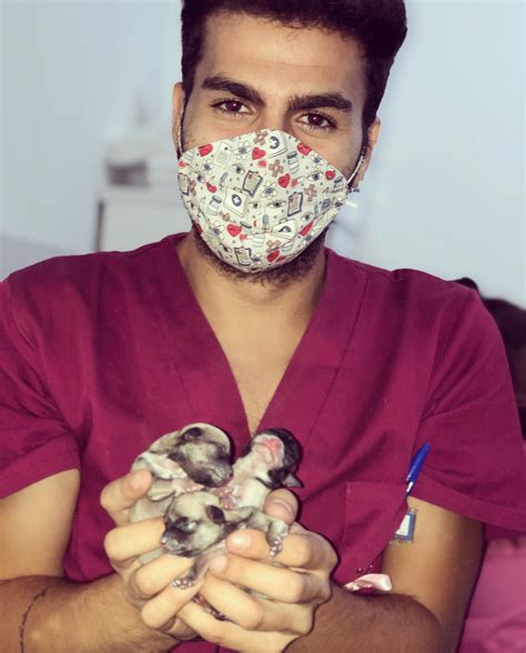 Los Partos Por Fiv Se Adelanta