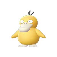 Fiche De Psykokwak Psyduck Pok Dex Pok Mon Let S Go Pikachu Et Let