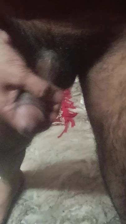 Muslim Bull S Cock Bull For Your Wife Gay BDSM Porn Feat Bullforyourwife XHamster