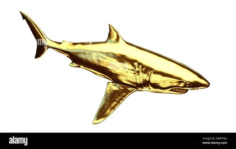 Golden shark, illustration Stock Photo - Alamy