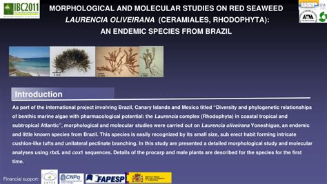 (PDF) Morphological and molecular studies on red seaweed Laurencia ...