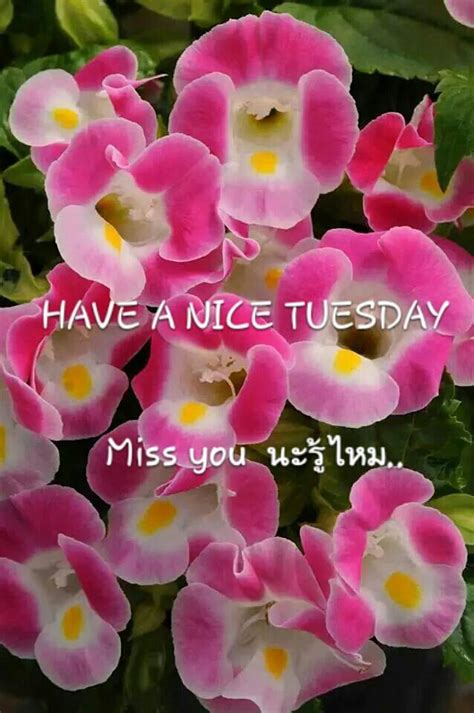 ph porn ω on Twitter anansainak อรณสวสดเชาวนพธ สดชน แจมใส ตลอดทงวนม