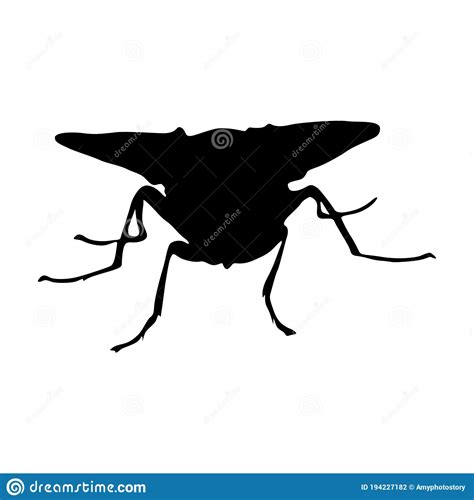 Diptera Cartoons Illustrations Vector Stock Images 323 Pictures To