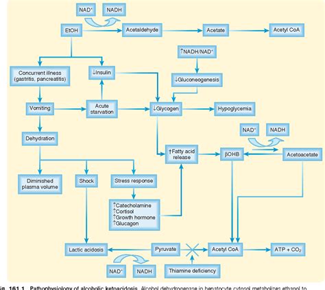 Acidosis And Alcohol