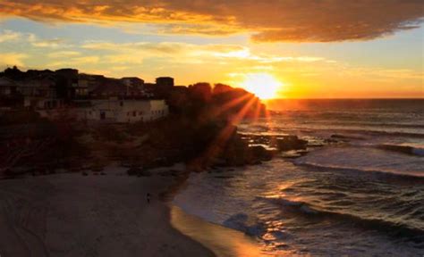 A Glimpse of the Rich History of Tamarama Beach - Bronte News