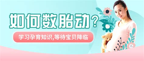 孕期常备，教你如何数胎动？ 知乎