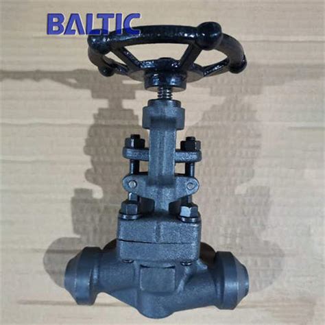 S Type Full Bore Globe Valve 1 0460 DN15 PN40 RF Flange Baltic