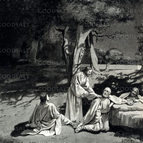 Jesus Wakes The Sleeping Disciples Goodsalt