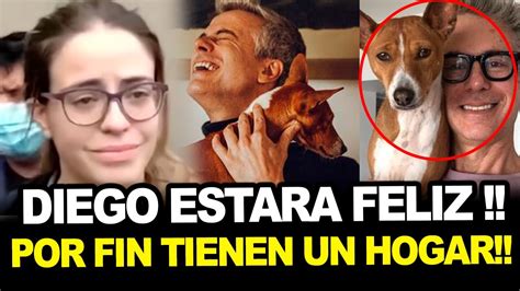 Diego Bertie Perros Del Actor Fueron Adoptados Tras Estar Abandonados