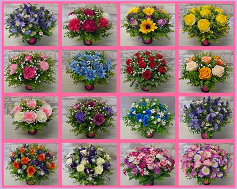 People are traveling miles to see the knotty ash 9