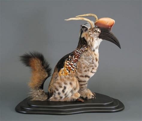 Extremely Creepy Taxidermy - Most Amazing - XciteFun.net