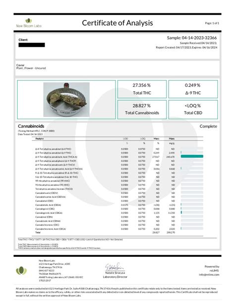 Cheap Thca Flower Budget Flower By Buy Thca