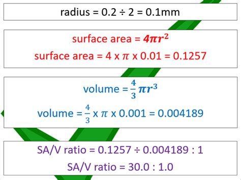 Surface Area To Volume Ratio Aqa A Level Biology Teaching Resources