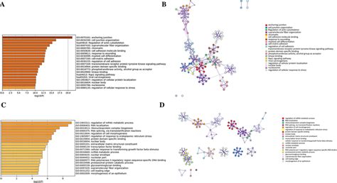 Functional Enrichment Analysis Of Degs A C Top 20 Clusters From